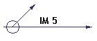 IM 5